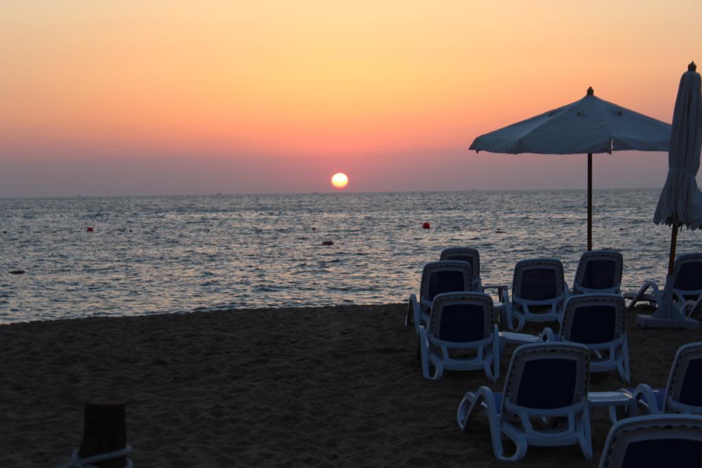 Tolip Hotel Alexandria Eksteriør bilde The beach at the resort